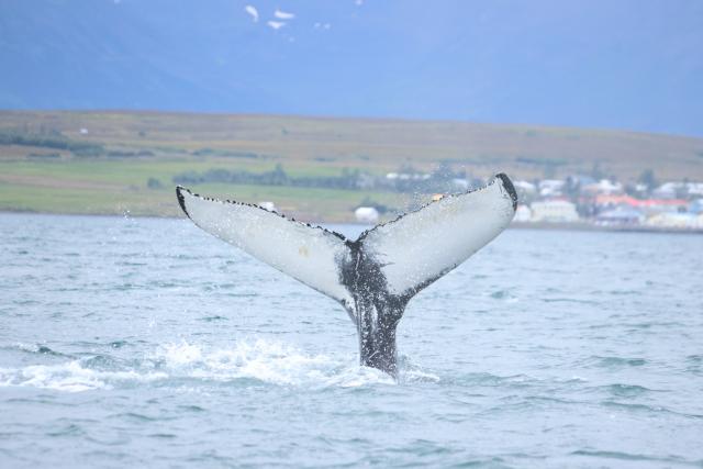 Wednesday, 4 September 2024