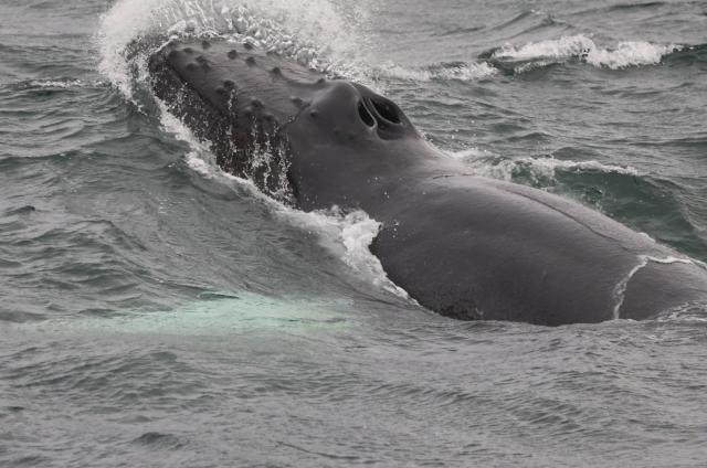 Wednesday, 18 September 2024