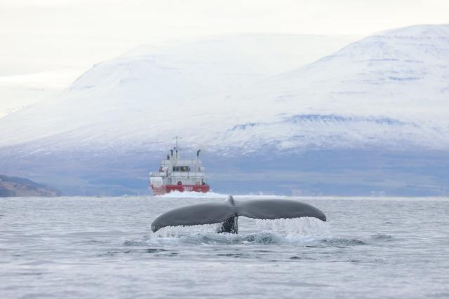 Thursday, 26 September 2024