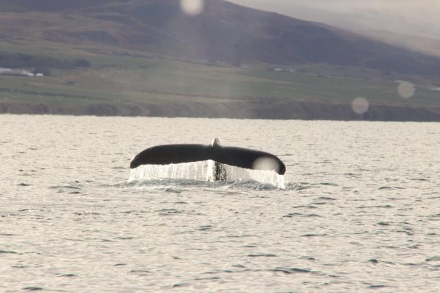 Monday, 30 September 2024
