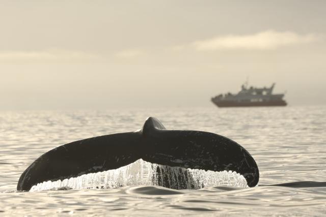 Wednesday, 16 October 2024