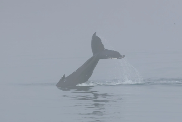 Thursday, 21 st August 2025