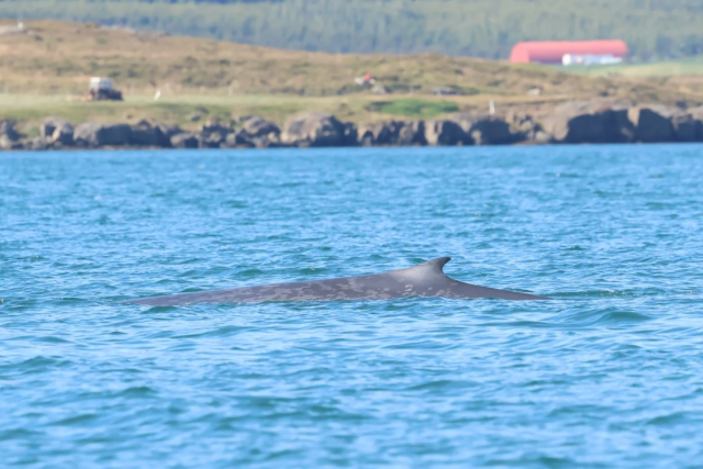 Saturday, 23th August 2025