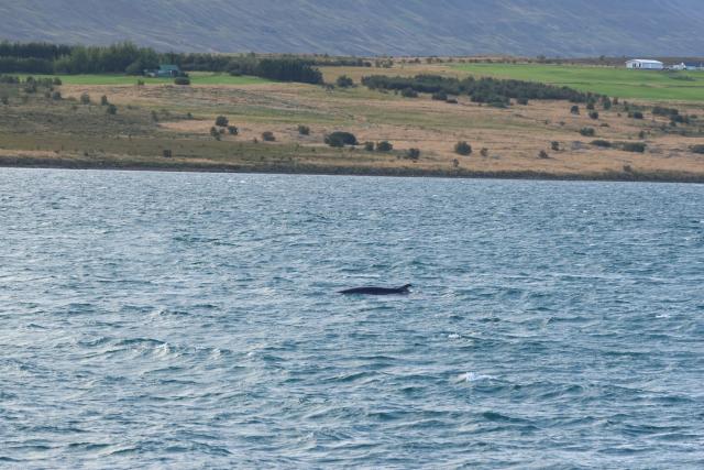 Monday, 1st September 2025