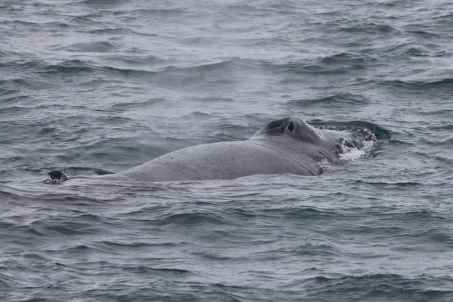 Tuesday, 16 September 2025