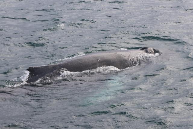 Thursday, 18 September 2025