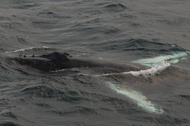 Wednesday, 8 October 2025
