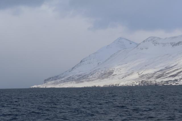 Monday, 3 March 2025