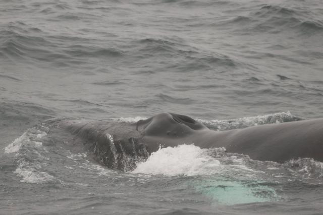 Tuesday, 7 October 2025