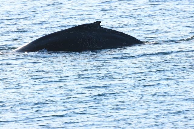 Friday, 13 February 2026