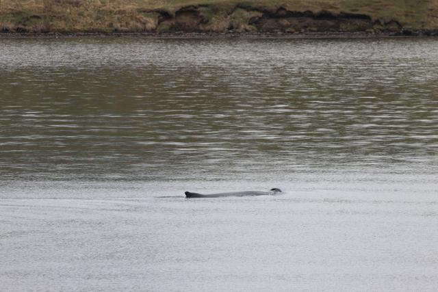 Saturday, 30th May 2026