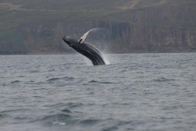 Wednesday, 3rd June 2026