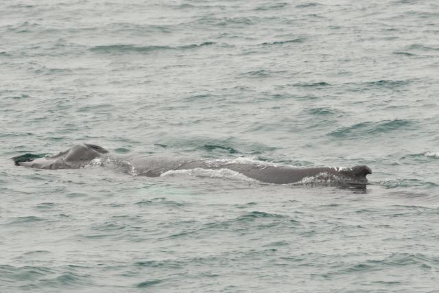 Tuesday, 18th August 2026