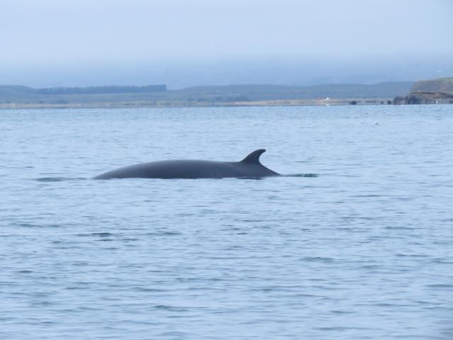 Wednesday, 19th August 2026