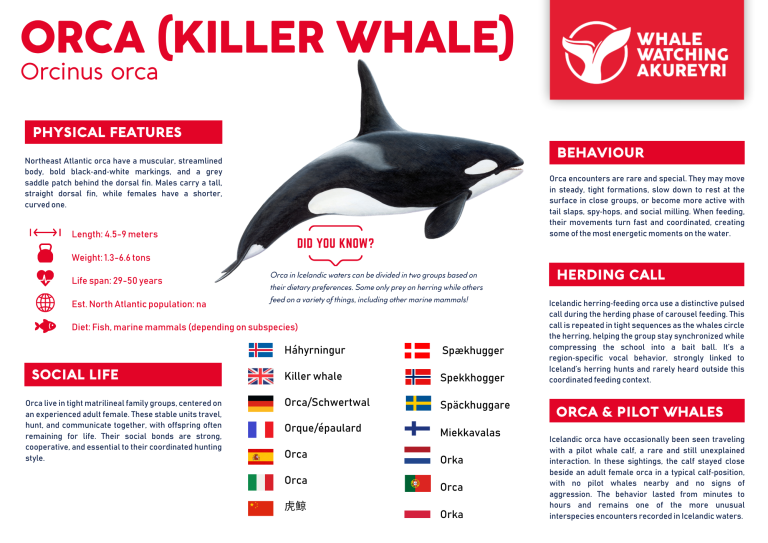orca info sheet