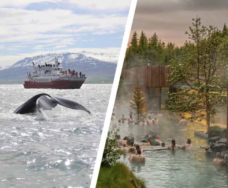 whales and forest lagoon combo