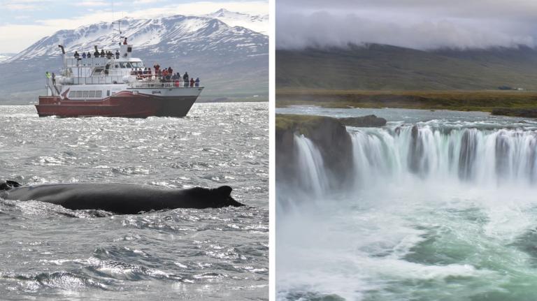 whales and goðafoss combo tour