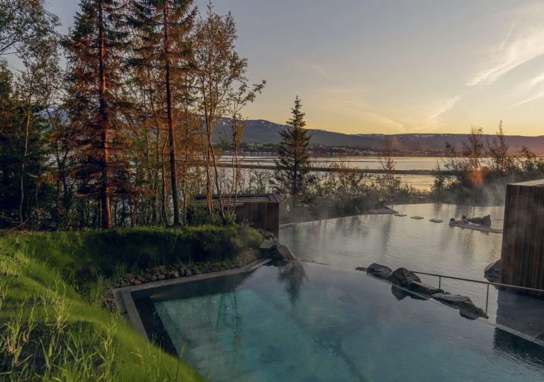 forest lagoon