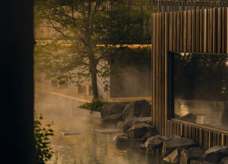 forest lagoon
