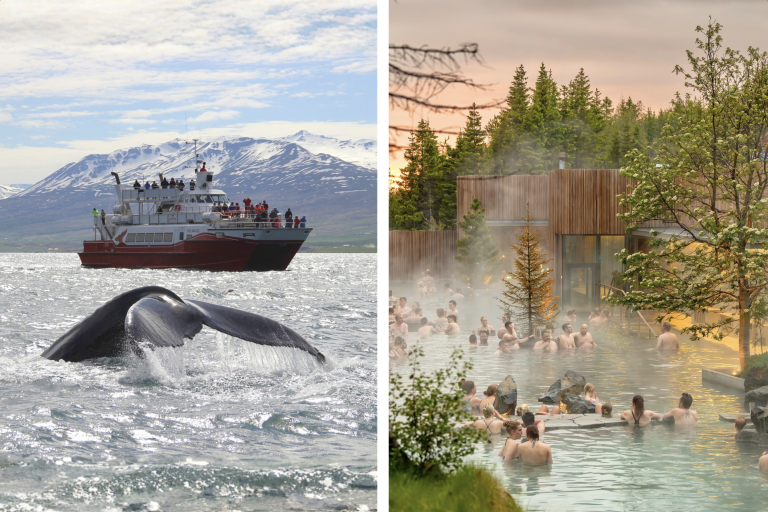 whales and forest lagoon